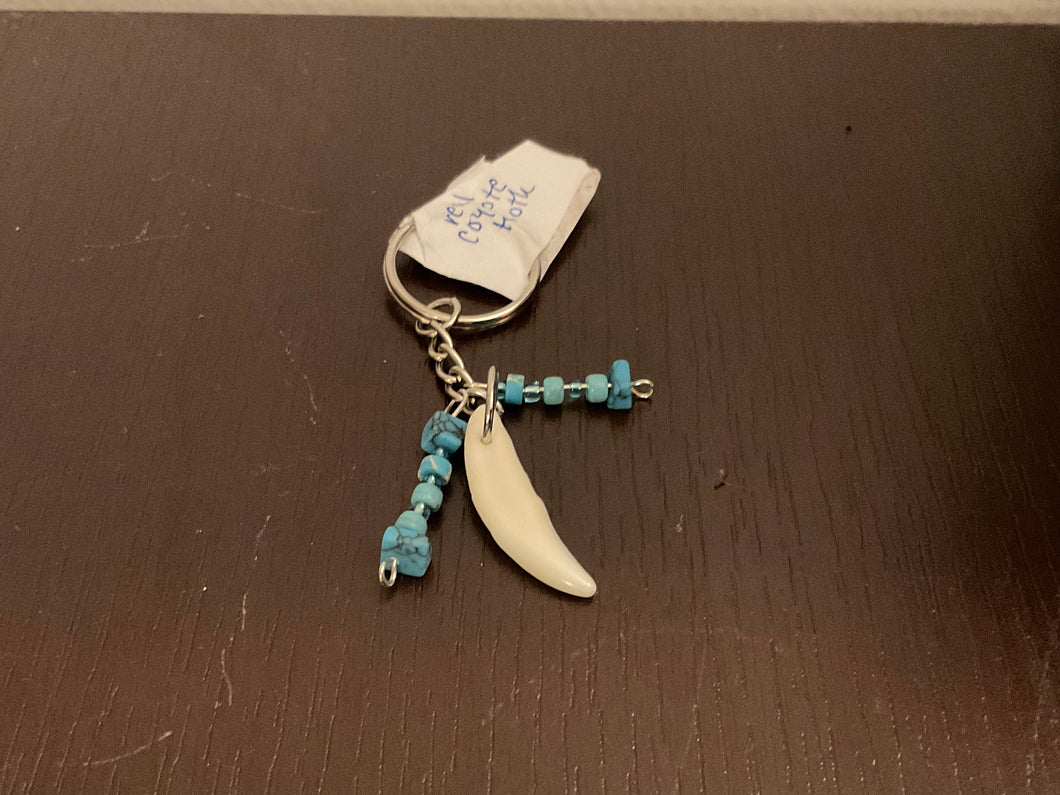 Coyote Tooth Keychain. Handmade with Turquoise Beads and a Coyote Fang.