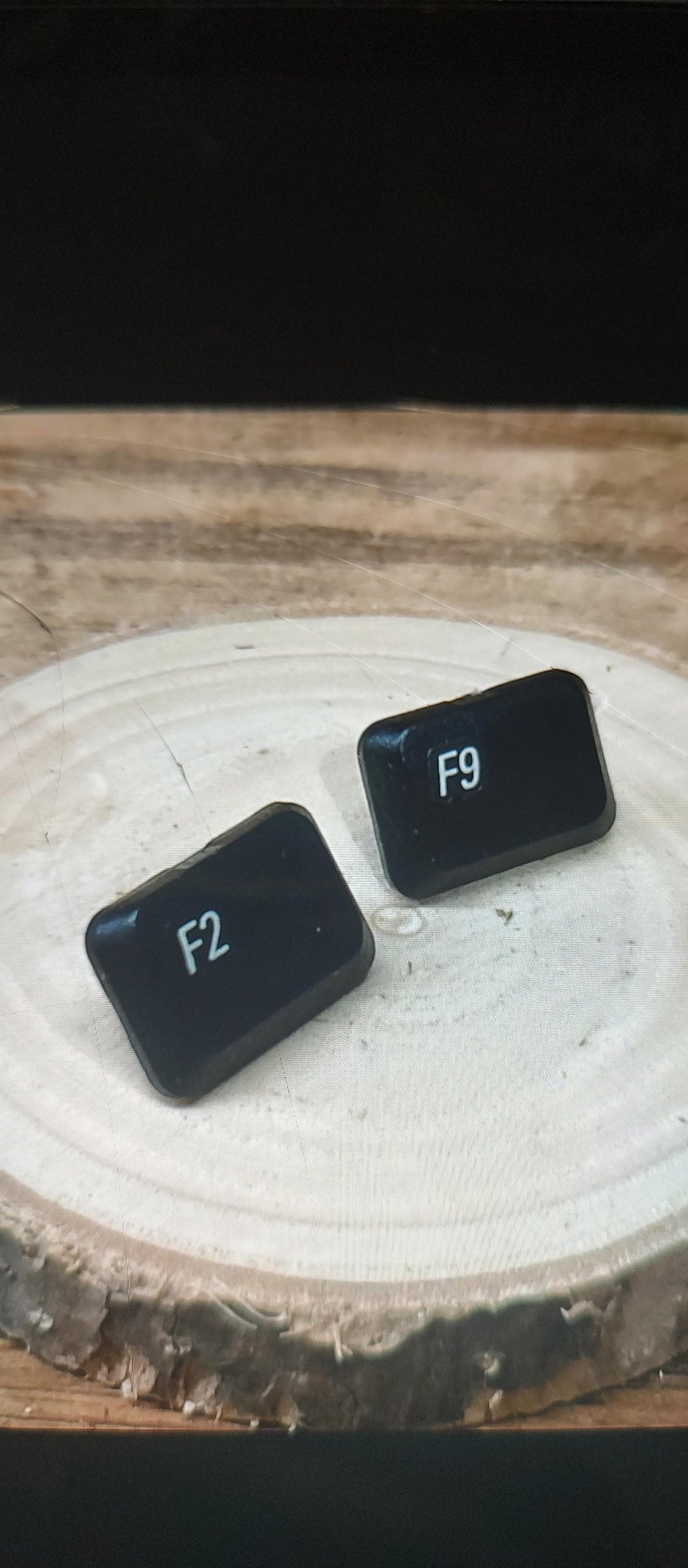handmade function key computer keyboard key earrings. f2 and f9 keys. stud earrings.