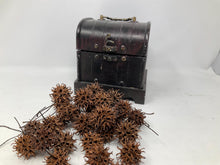 Load image into Gallery viewer, Witch burrs in a small chest. Small Storage Trunk Filled with Witch Burrs
