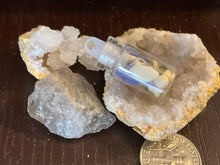 Load image into Gallery viewer, Specimen Jar. Itty Bitty Tiny Amulet Bottle with Badger Bones. Can be used as amulet or charm.
