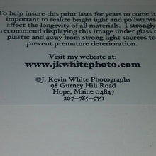 Load image into Gallery viewer, Coastal Photo. Fisherman. Lobsterman on Dock. Looks signed. In shrinkwrap. Previously owned and unopened.

