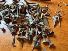 Load image into Gallery viewer, Black Locust Thorns. Locust Tree Spines in Various Sizes. Not all same size.
