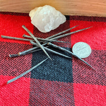 Load image into Gallery viewer, Hawthorn Thorns in Various Sizes. Bag of 80 or Vial of 65
