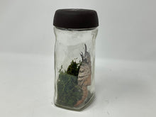 Load image into Gallery viewer, Intact Crawdad. Preserved Crawdaddy in Jar. Crawfish Crayfish Specimen Jar.
