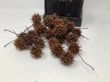 Load image into Gallery viewer, Witch burrs in a small chest. Small Storage Trunk Filled with Witch Burrs
