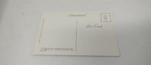 Load image into Gallery viewer, Vtg PC Highest Point Trail Ridge Road CO VTG Postcard Unused Unposted
