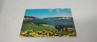 Vtg 1970's Digby Nova Scotia Cannon Guarded Harbour Postcard E Otto Unused