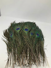 Load image into Gallery viewer, 2 Peacock Feather. Approximately 12 inches tall. Ethically Sourced.
