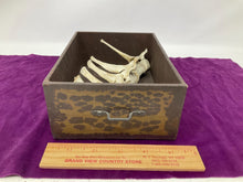 Load image into Gallery viewer, Found deer vertebrae bones. Bleached and clean. Beautiful Bone. Ethically Sourced. Part of spine.
