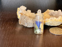 Load image into Gallery viewer, Specimen Jar. Itty Bitty Tiny Amulet Bottle with Badger Bones. Can be used as amulet or charm.
